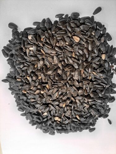 Nasiona-slonecznika-karma-dla-ptakow-slonecznik-czarny-20kg-