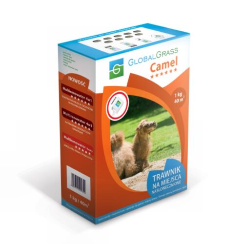 Nasiona traw Camel 1kg